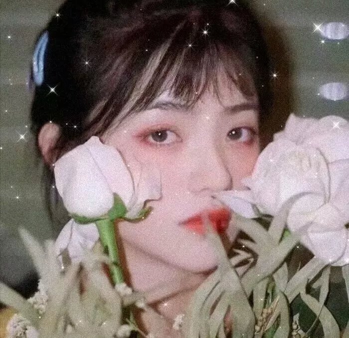 阿丽玛